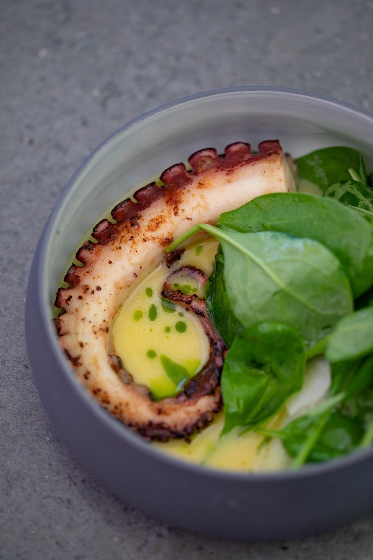 Octopus and Spinach Soup - Soup Recipe